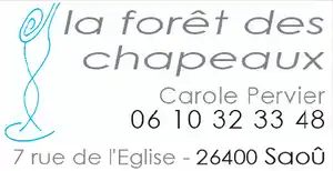 Copie de 12.foret_chapeaux.tif